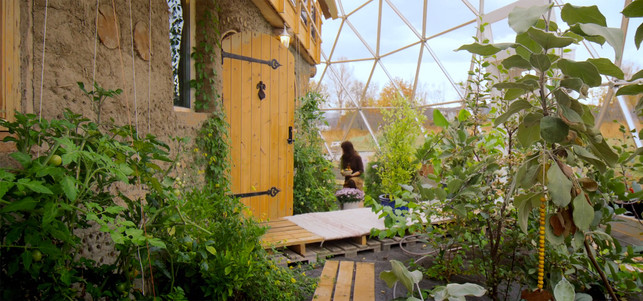 oeko-haus-norwegen-garten-s-Deadline-Media-170424-1280x600 Öko-Haus in Norwegen: The Heart Followers