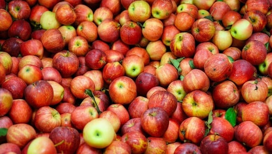 apfel-verwerten-cc0-pixabay-daledbet-210828 apfel verwerten