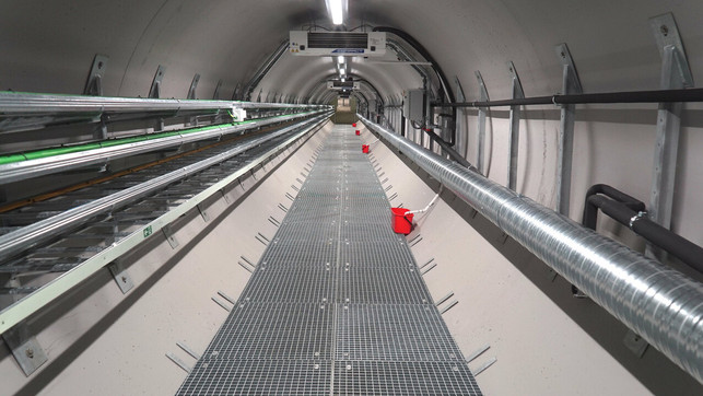 rund-40-prozent-des-weltweit-eingesetzten-samengut-cc-flickr-nordgen-nordic-genetic-resource-cen-220131_download Rund 40 Prozent des weltweit eingesetzten Saatguts sollen im Svalbard Global Seed Vault gelagert sein.