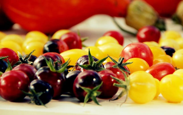 alte-gemuesesorten-tomaten-z_tomatenretter_160316_1280x800 Alte Tomatensorten