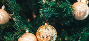 Echter oder künstlicher Weihnachtbaum: Was ist die bessere – und nachhaltigere Wahl?