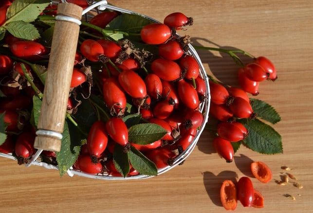 Rose hips are a regional vitamin C bomb.