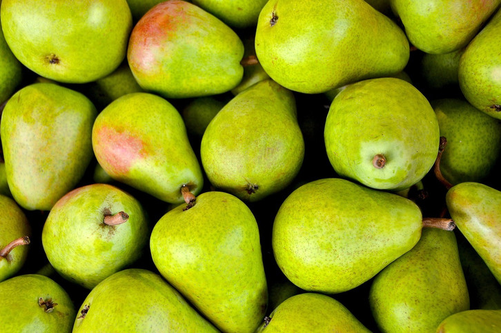 tier dünger Bio-Beeren- & Obstbaumdünger kaufen
