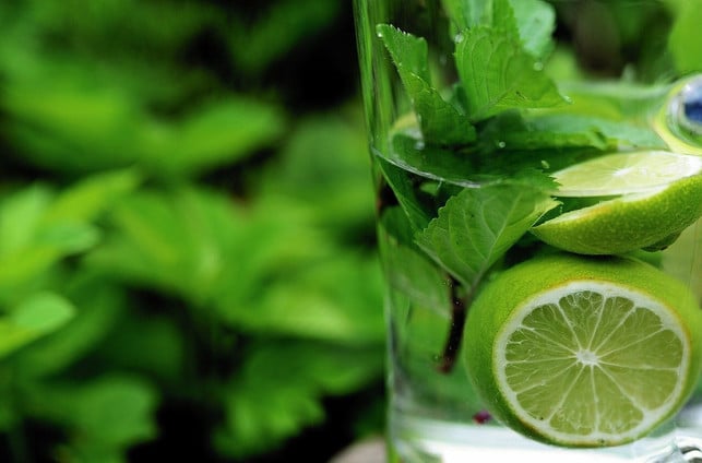 die-zuckerfreie-ernaehrung-betrifft-auch-getraenke-cc0-pixabay-congerdesign-220304_download Die zuckerfreie Ernährung betrifft auch Getränke: Wasser mit Limetten und Minze eignet sich gut.
