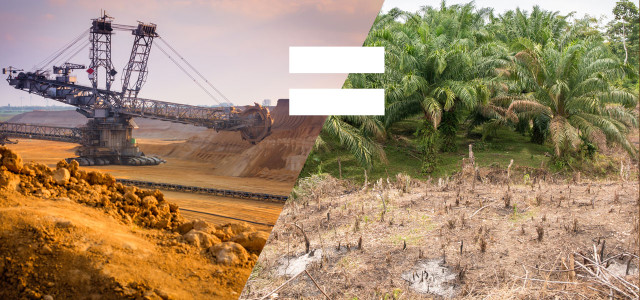 Neue Studie: Palmöl ähnlich problematisch wie Kohle