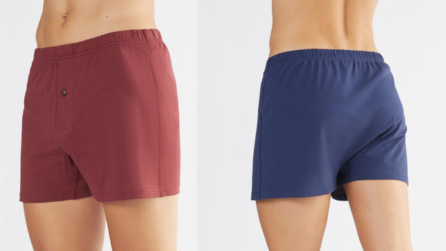 AlberoNatur-NachhaltigeBoxershorts-ku-AlberoNatur#240313 Albero Boxershorts
