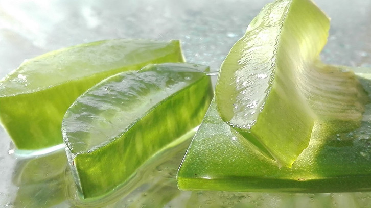 Aloe-Vera-Gel selber machen: Natrliche Hautpflege aus dem Garten -  Utopia.de