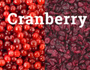 Cranberry: Wunderbeere mit Fragezeichen