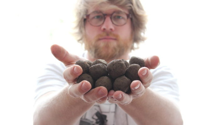 Seed Bombs basteln Seed Bombs basteln