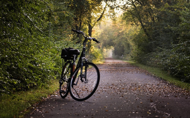 Das Trekkingbike: Der Allrounder unter den Fahrrädern Das Trekkingbike: Der Allrounder unter den Fahrrädern