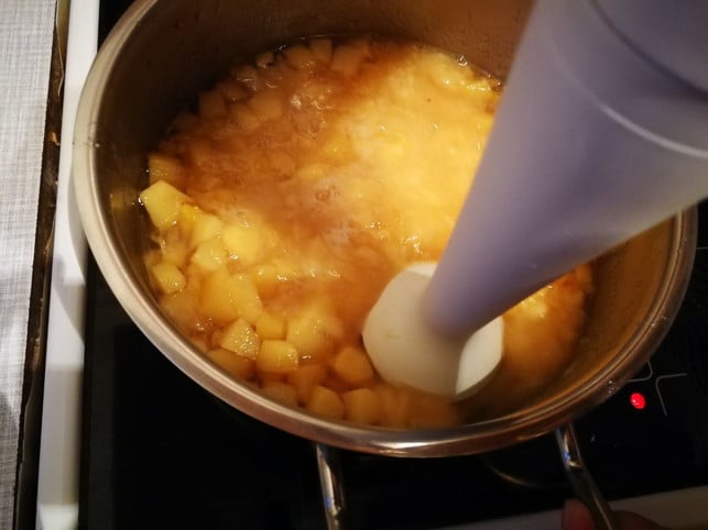 wenn-die-quitten-weich-genug-sind-mit-dem-pueriers-utopia-inke-klabunde-171023_download Wenn die Quitten weich genug sind, mit dem Pürierstab zerkleinern.