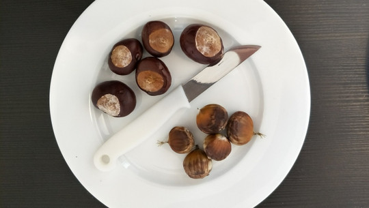 kastanie-essbar-esskastanie-maronen-sven-christian-schulz-utopia-170906 Kastanie essbar, Esskastanie, Maronen