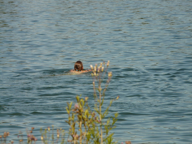 jucken-und-geroetete-flecken-nach-dem-schwimmen-kom-cc0-pixabay-hans-230809_download Jucken und gerötete Flecken nach dem Schwimmen kommen höchstwahrscheinlich von Zerkarien.