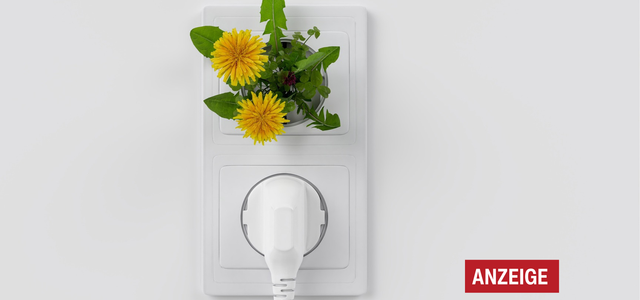 Ein Wechsel zu Ökostrom lohnt sich auch für Single-Haushalte.