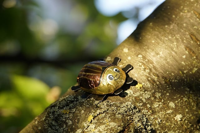 insekten-als-mahlzeit-oder-nachtisch-vielleicht-b-cc0-pixabay-jhenning-240626_download Insekten als Mahlzeit oder Nachtisch? Vielleicht bald (wieder) Trend.
