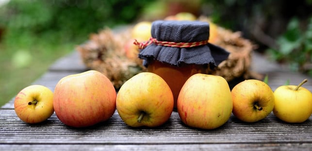 apfelgelee-schmeckt-besonders-gut-auf-dem-fruehstuec-cc0-pixabay-congerdesign-240920_download Apfelgelee schmeckt besonders gut auf dem Frühstücksbrot.