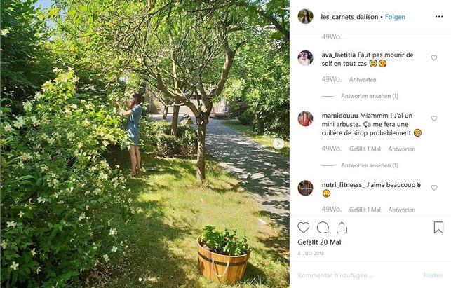 alisons-tagebuecher-ueber-nachhaltigen-lifestyle-les_carnets_dalison-instagram-190618_download Alisons Tagebücher über nachhaltigen Lifestyle