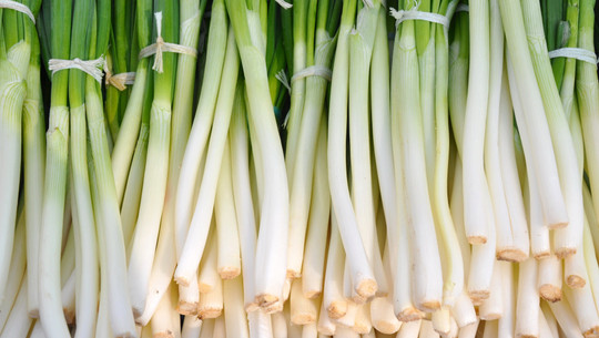 zwiebeln-im-topf-cc0--pixabay--szjeno09190-250925 zwiebeln im Topf