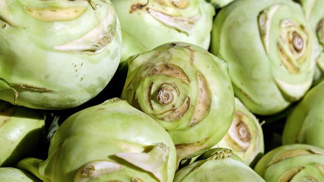 kohlrabi-lagern-cc0-pixabay-couleur-221024 kohlrabi lagern