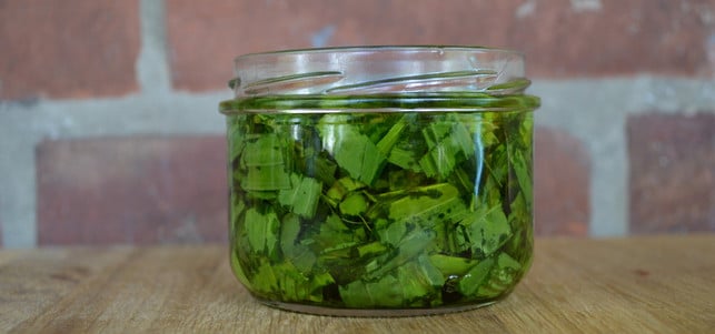 spitzwegerich-salbe-warten_u_jw_161122_1280x600 Klein geschnittene Spitzwegerich-Blätter ziehen im Olivenöl