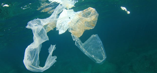 Plastikmuell-meer-plastiktuete-w-richard-carey-170727-1280x600 Plastikmüll Meer