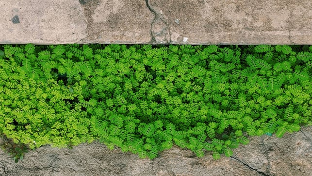 note-thanun-q1N2B6vYmd0-unsplash_1920x1080px