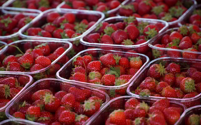Erbeeren sind gesund Erbeeren sind gesund