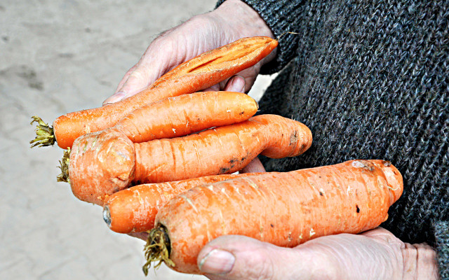 Bio-Helden krummes Gemüse Penny Krummes Gemüse: würde oft einfach aussortiert
