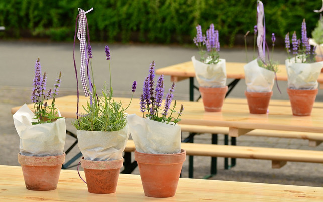 Hochzeit_pb_congerdesign_17022_1280x800 Nachhaltige Hochzeit