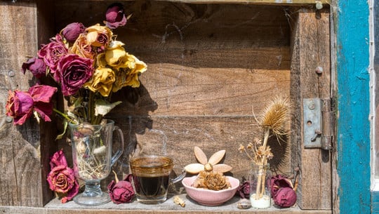 trockenblumen-selber-machen-cc0-pixabay-andadeea-211005 Trockenblumen selber machen