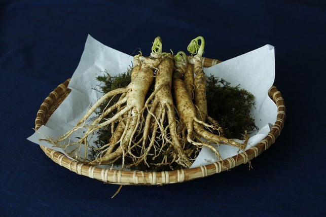 ginseng-soll-heilende-wirkungen-haben-cc0-pixabay-whaltns17-190829_download Ginseng soll heilende Wirkungen haben.