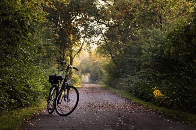 willst-du-eine-fahrradtour-planen-solltest-du-dir-cc0--pixabay--pamjpat-250527_download Willst du eine Fahrradtour planen, solltest du dir im Vorfeld eine schöne Route aussuchen.