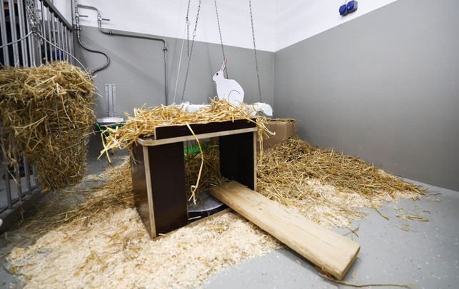 Alternativen zu Tierversuchen: Welche es gibt und warum die Forschung weiter auf Tiere setzt Tierversuche Alternativen