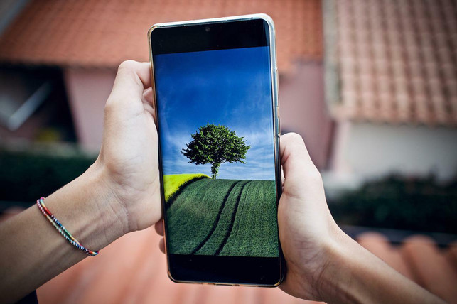 citizen-science-ermoeglicht-buergerinnen-die-teilna-cc0-pixabay-sweetlouise-220803_download Citizen Science ermöglicht Bürger:innen die Teilnahme an Forschung – oft ganz einfach per Smartphone.