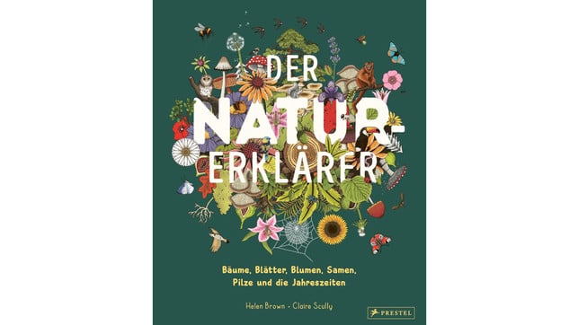 buchtipps-kinder-natur-erklaerer