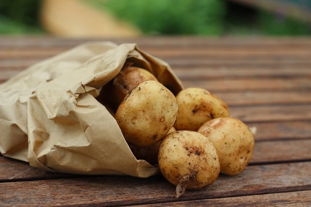 indem-du-kartoffeln-mit-schale-kochst-bleiben-meh-cc0-pixabay-ekokki-241209_download Indem du Kartoffeln mit Schale kochst, bleiben mehr Mineralstoffe und Vitamine erhalten.