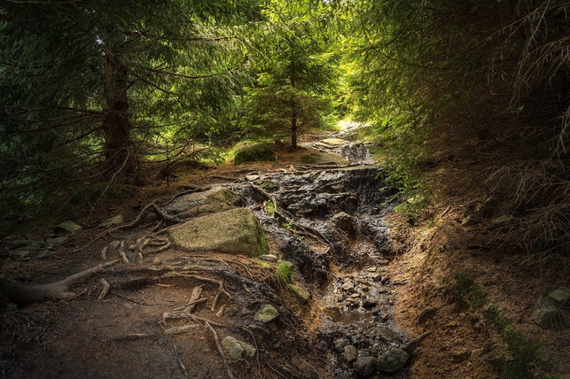 in-nationalparks-wirkt-die-natur-urspruenglich-und-cc0-pixabay-seaq68-201013_download In Nationalparks wirkt die Natur ursprünglich und wild.