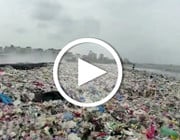 Plastikmüll: Putzaktion in Mumbai