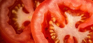 Jeden Tag Tomaten essen: Was sind die Folgen?