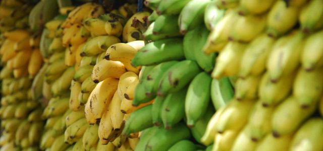 Lidl verkauft zertifizierte Bananen