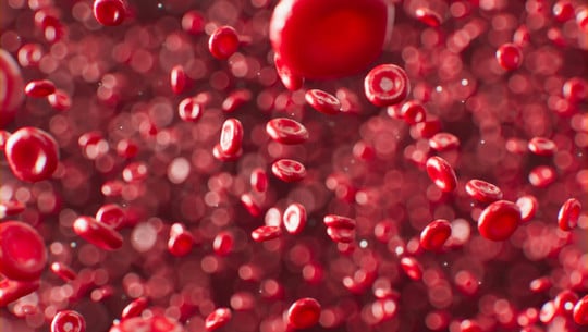 Blut-unsplash-1920x1209 Studie zeigt, wie Ibuprofen rote Blutkörperchen verformt