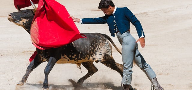 Kolumbien verbietet Stierkämpfe