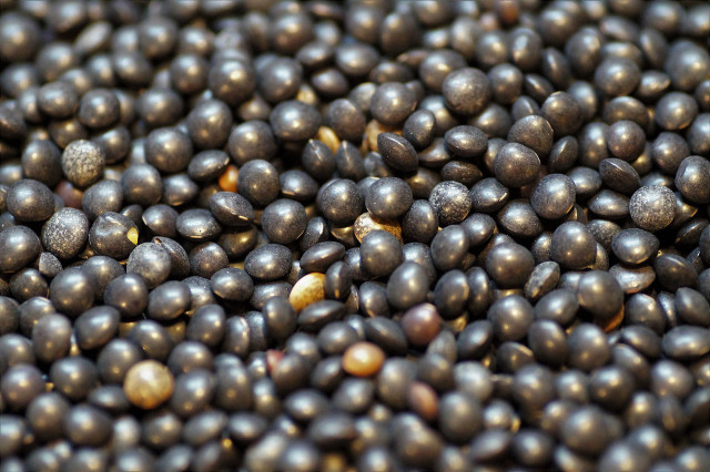 Beluga lentils are a special type of lentils that can be purchased in grocery stores.