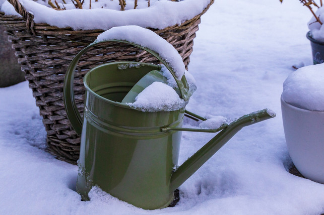 trotz-schnee-im-garten-vergiss-auch-im-winter-nic-cc0-pixabay-dimhou-230127_download Trotz Schnee im Garten: Vergiss auch im Winter nicht, deine Pflanzen regelmäßig zu gießen!