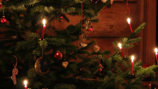 keinnachtsbaum-cc0-unsplash-elliott-b-241213 keinnachtsbaum