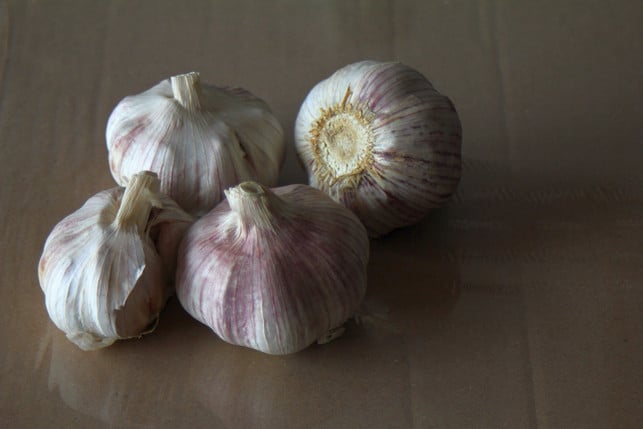 If you-to-many davon-is-kann-Kann-Knobla-garlic-un-CC0--pixabay-bluebudgie-2250530_Download If you eat too much of it, garlic can also have unsightly side effects.
