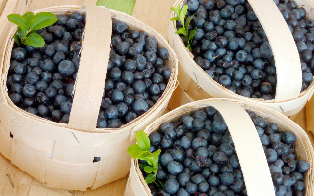 blackfood-blaubeere-pb-moritz320-170329-1280x800