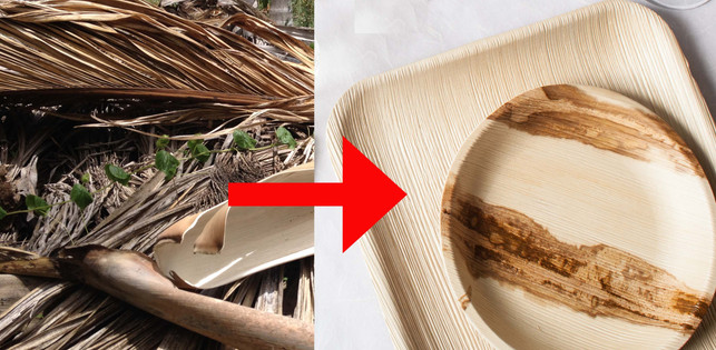 einweggeschirr-palmblatt-z-leef-161216-1200x628 einweggeschirr-palmblatt-z-leef-161216-1200x628