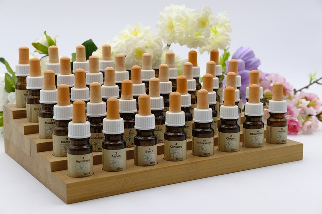 behandle-dich-niemals-selbst-bei-der-phytotherapie-cc0-pixabay-bru-no-200418_download Behandle dich niemals selbst bei der Phytotherapie, sondern vertraue auf langjährige medizinische Spezialisten auf diesem Gebiet.