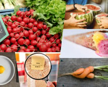 Lebensmittelverschwendung: Mit diesen 10 Tipps landet bei dir weniger Essen im Müll
